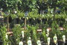 Wangaratta VICplant-nursery-14.jpg; ?>
