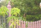 Wangaratta VICplant-nursery-6.jpg; ?>